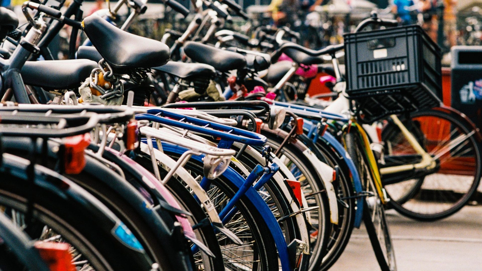Bicycle Rodeo