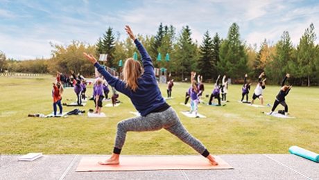 Yoga classes outdoors. Group of adults attending yoga classes in the park. Healthy lifestyle. Being healthy in body and mind